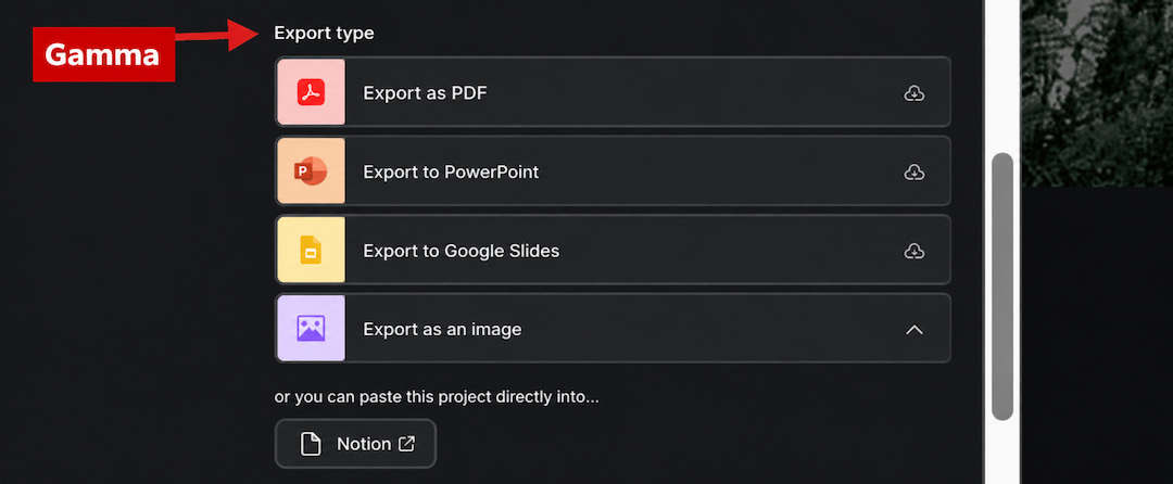 Gamma Export Options